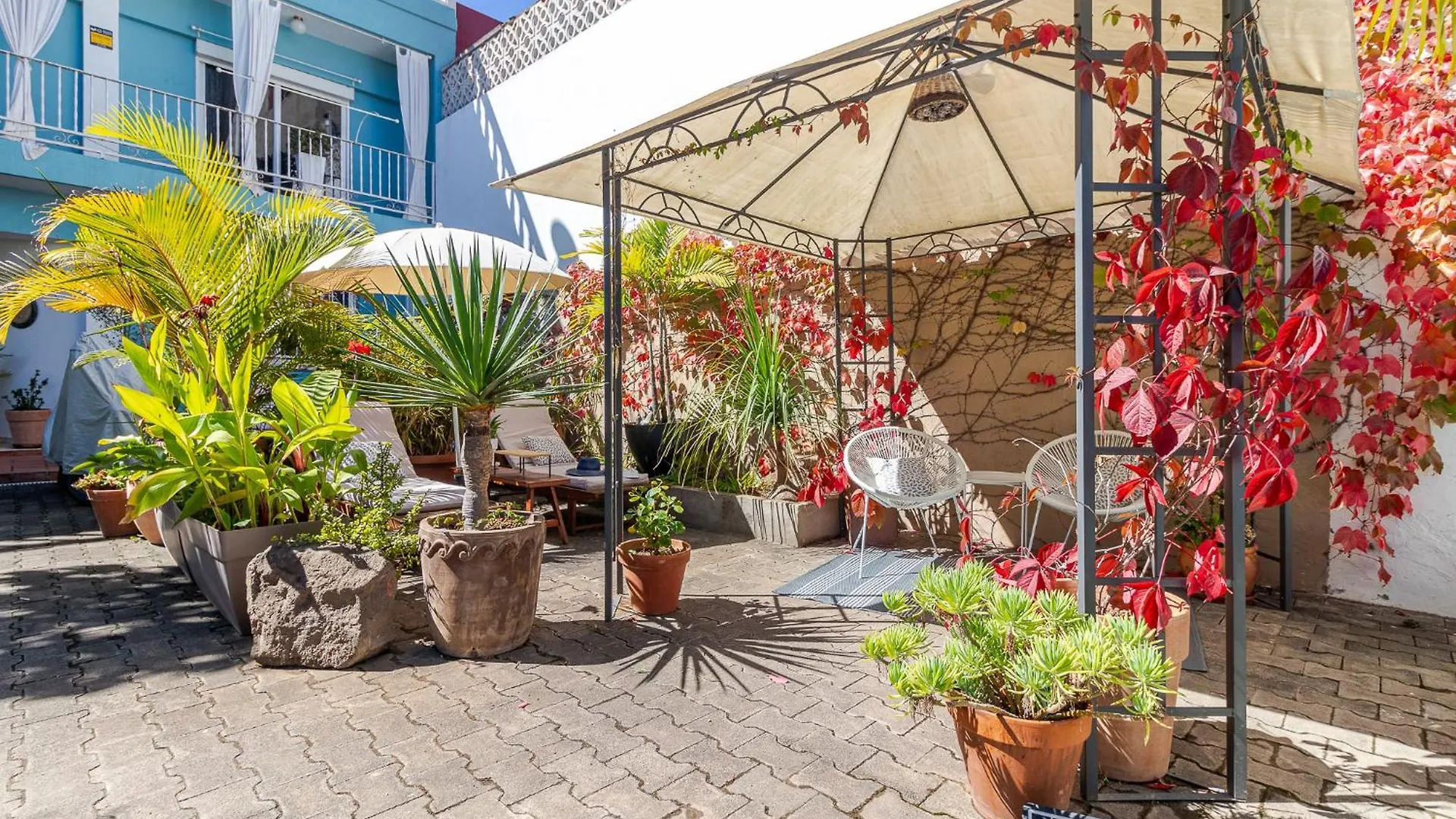 Santa Brigida Window Suite Apartment Santa Brigida (Gran Canaria)